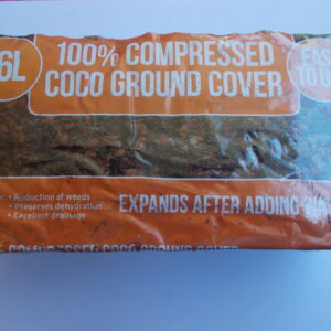 COCO BRIQUE ECLATS