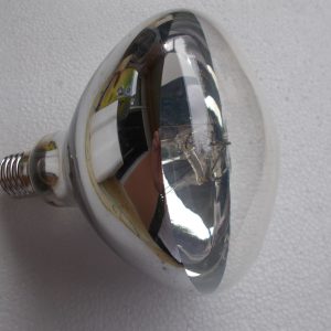 Ampoule vapeur mercure 160 Watts 1