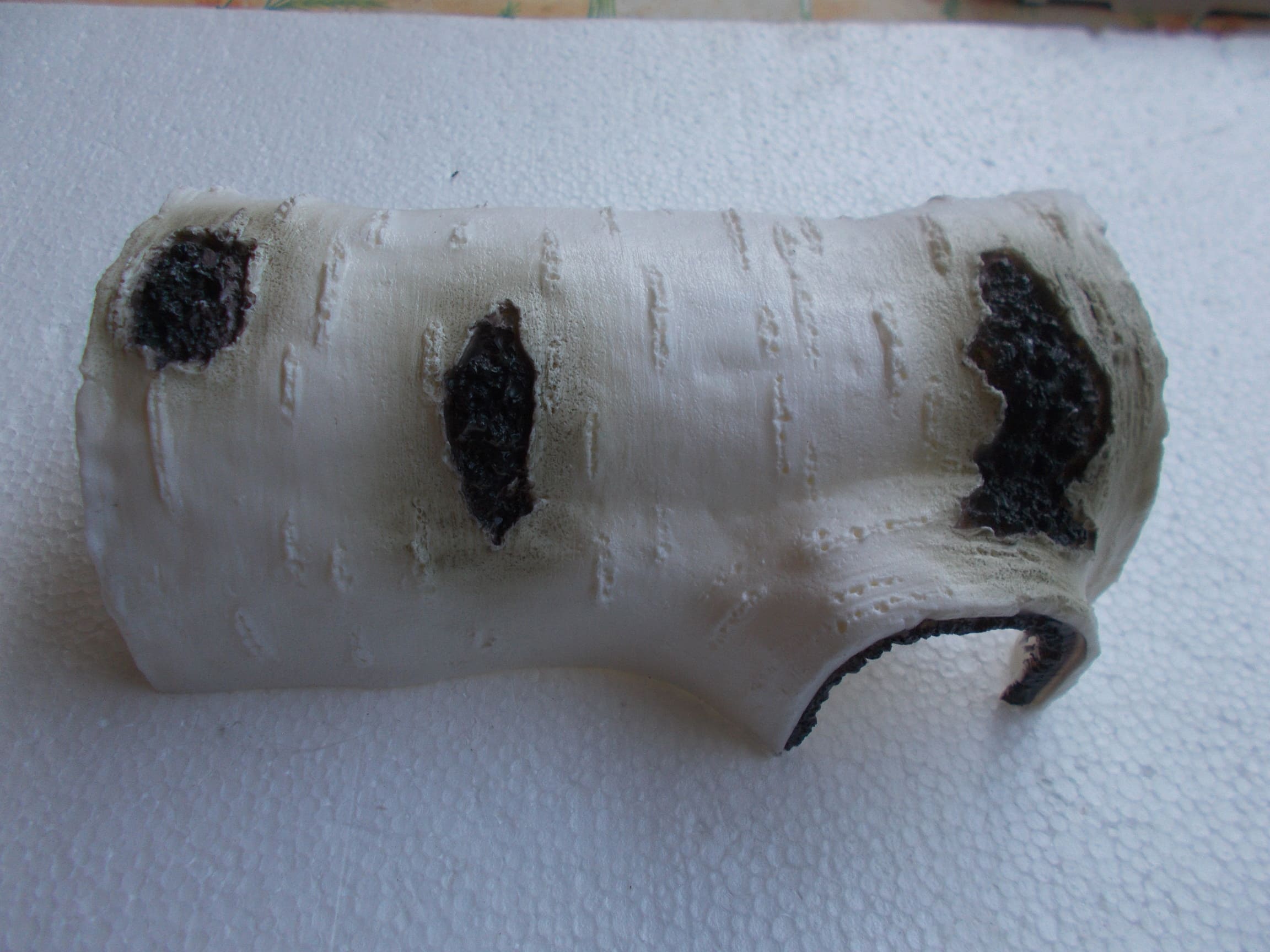 Cachette reptiles Medium 1