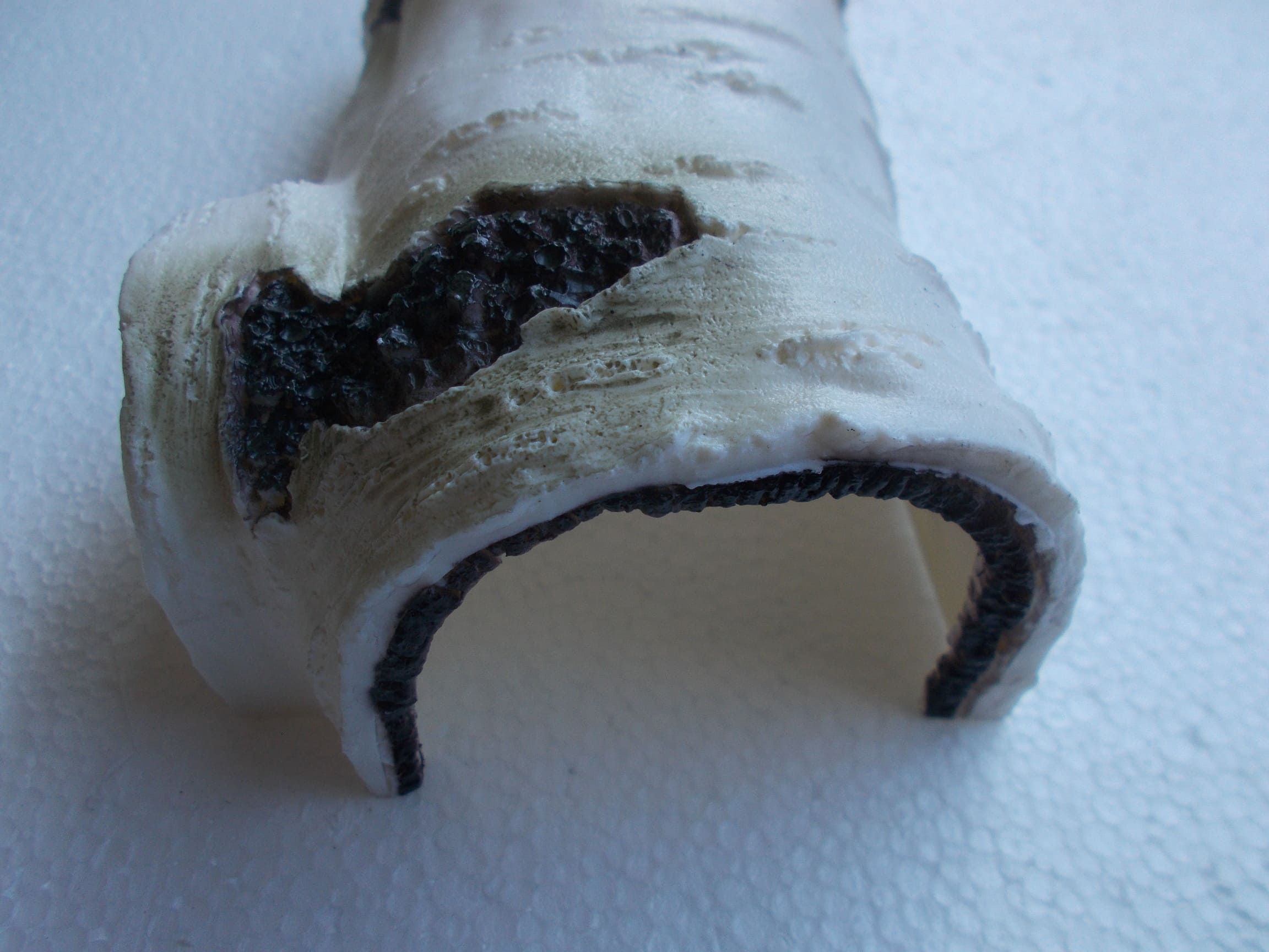 Cachette reptiles Medium 2