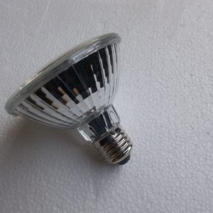Halogen Spot 75 Watts R97 1