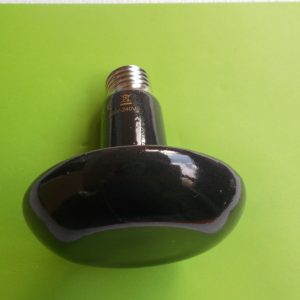 Lampe céramique  chauffante 75 Watts 1