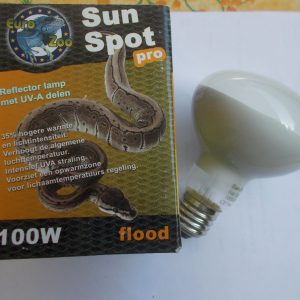 Lampe chauffante UVA 100 Watts 1