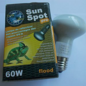 Lampe chauffante UVA 60 Watts 1