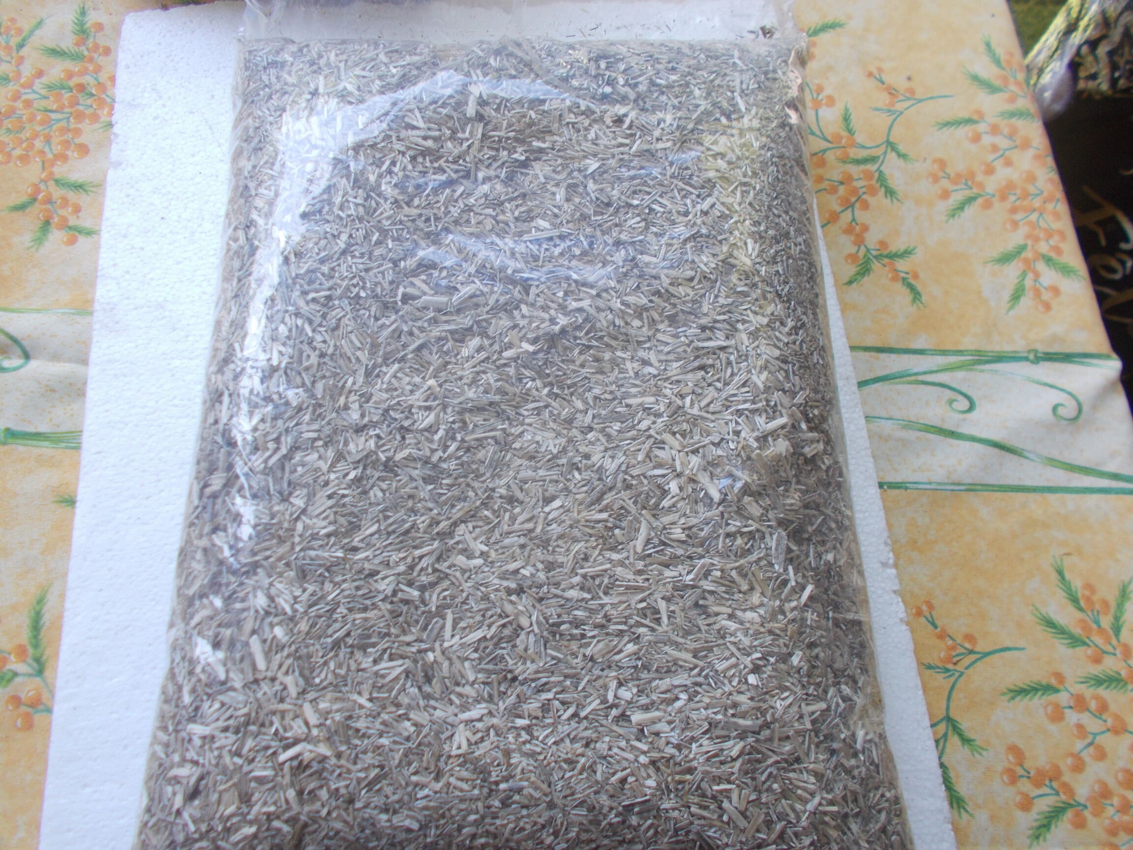 Litaspen 10 litres 4