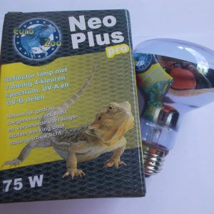 Lampe UVA-UVB chauffante 75 Watts 1