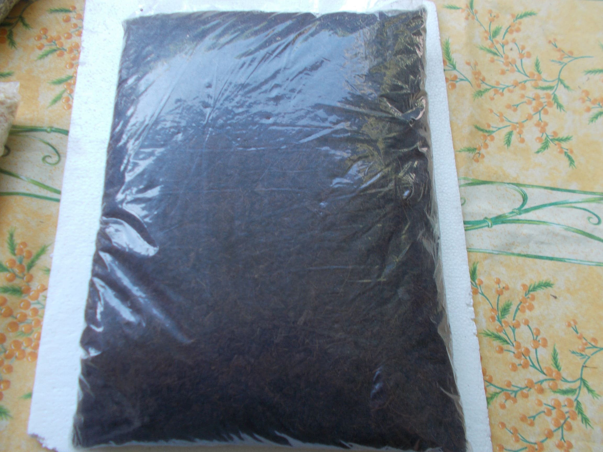 Tourbe blonde 10 litres 4