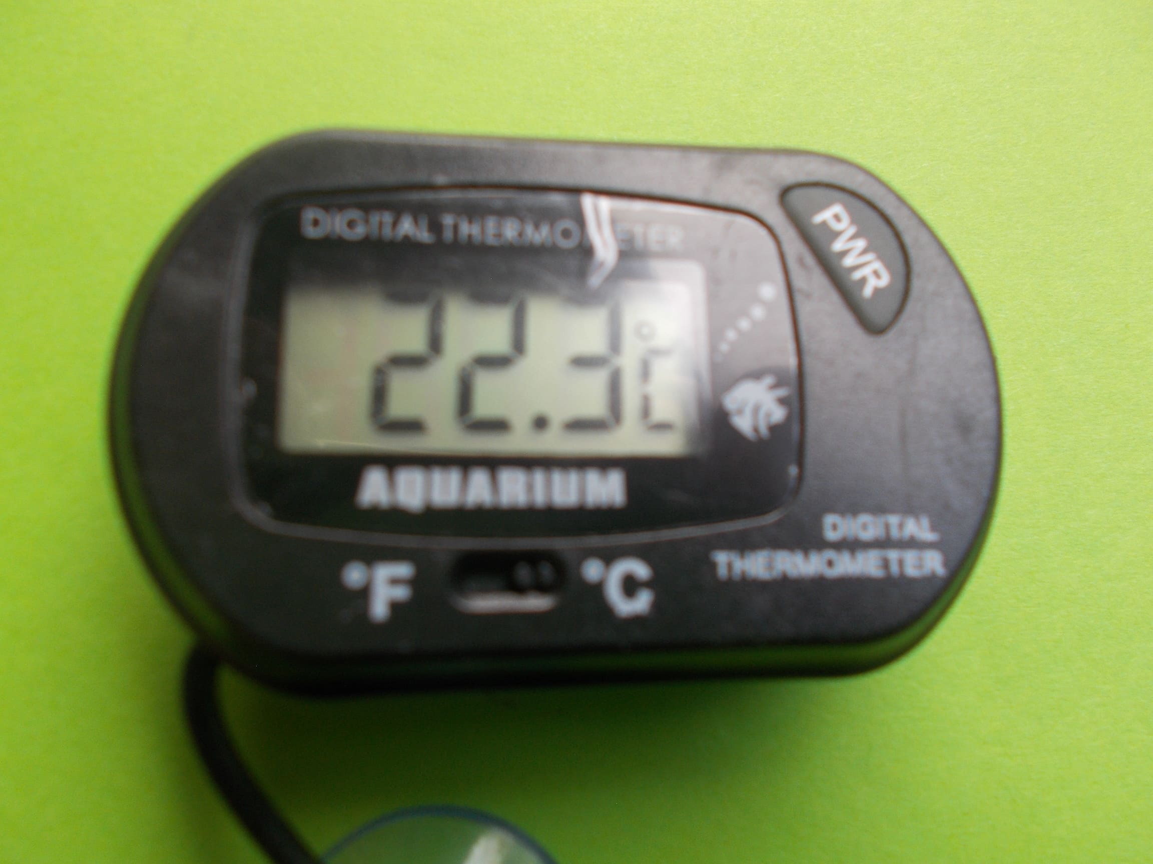 Thermometre Digital aquarium avec sonde 2