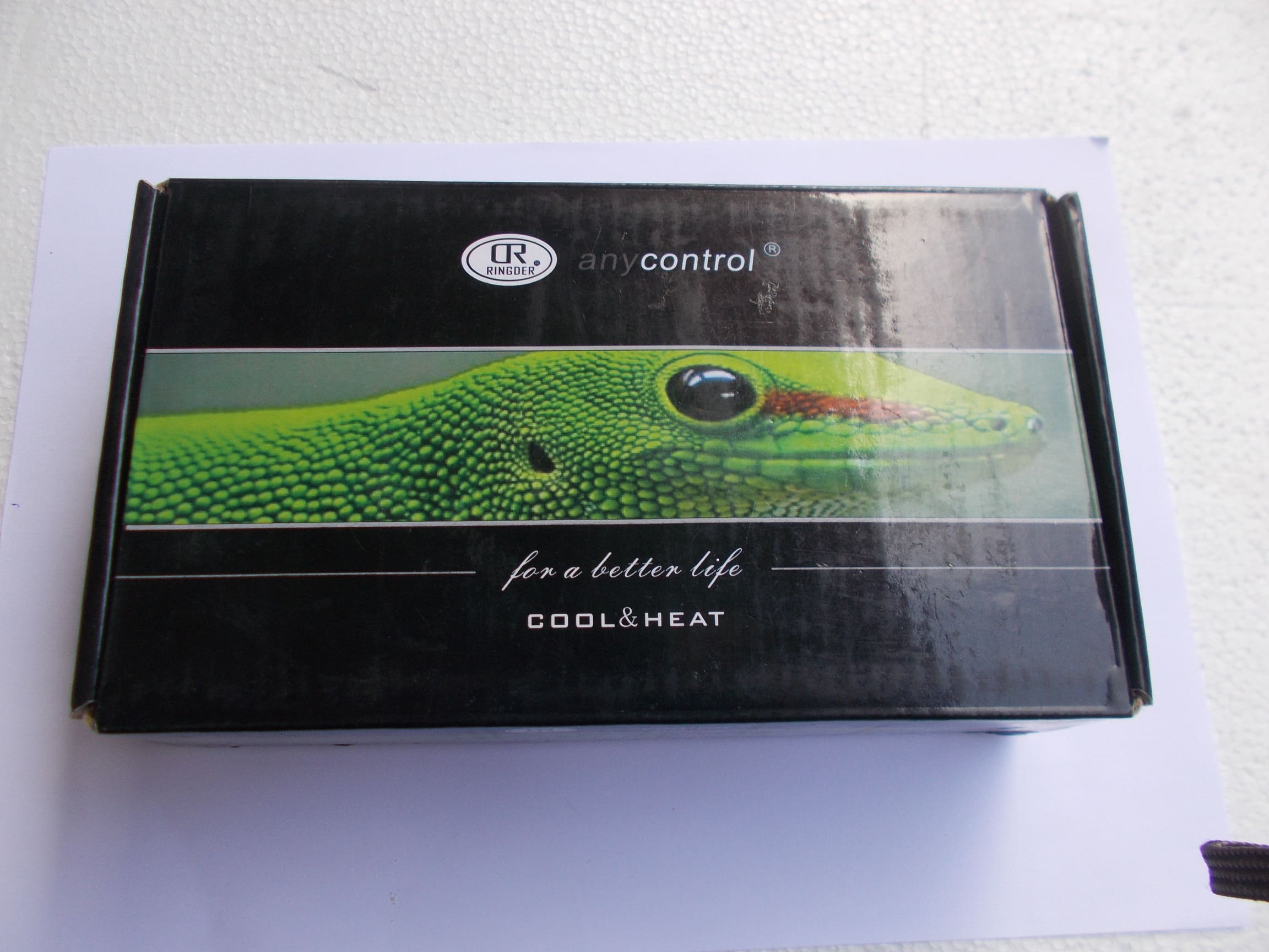 Thermostat RINGDER 1