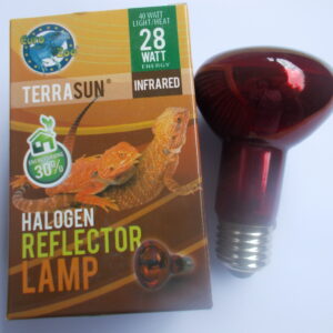 Ampoule infrarouge chauffante 28 Watts EURO - ZOO